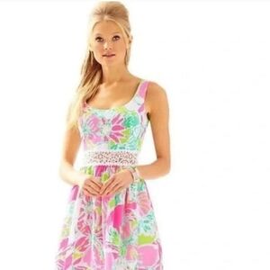 NWT Lily Pulitzer Rosemarie dress with waist cut out. Size 2
